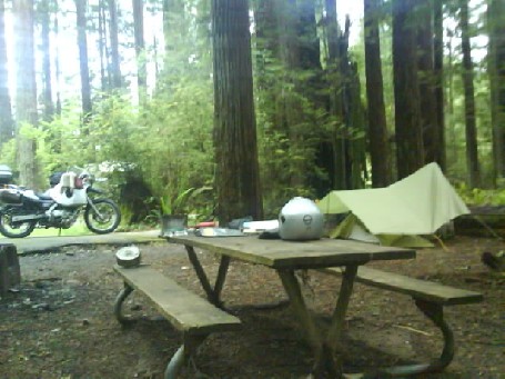 012 Redwoods Campsite 8th Jun 2010.jpg